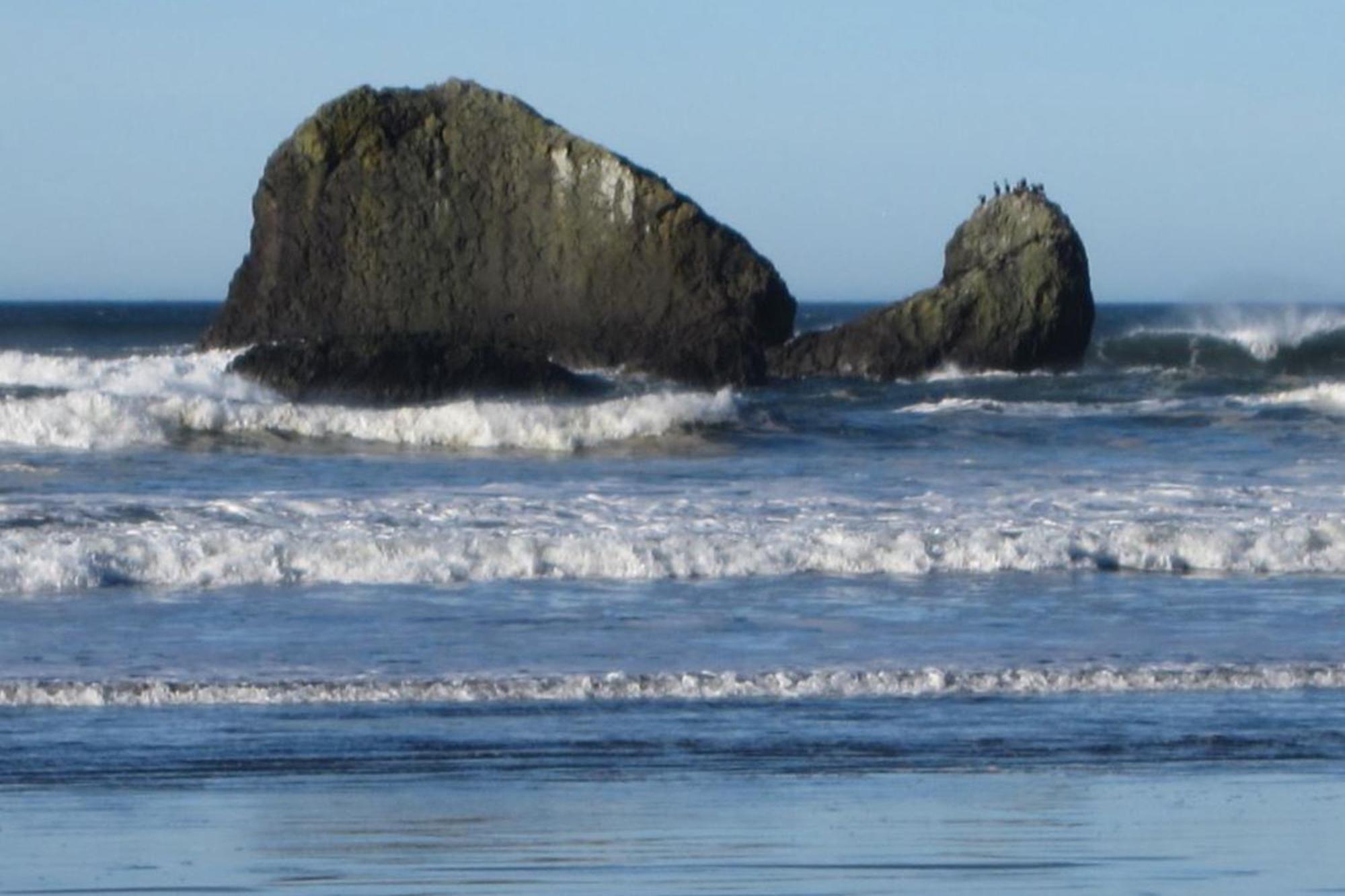 Rocks Cabin Copalis Beach 外观 照片