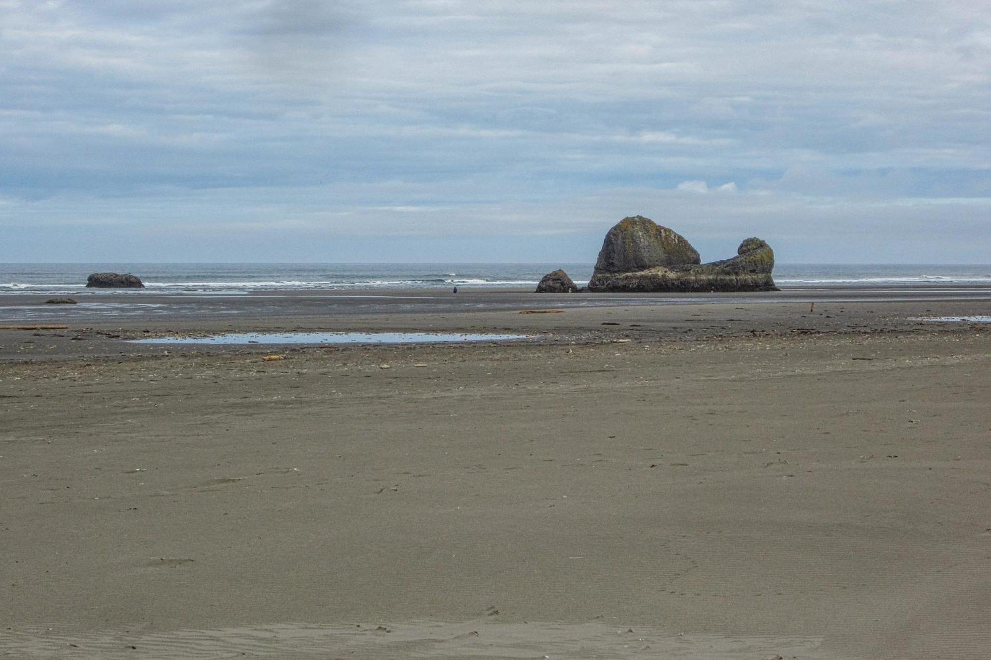 Rocks Cabin Copalis Beach 外观 照片